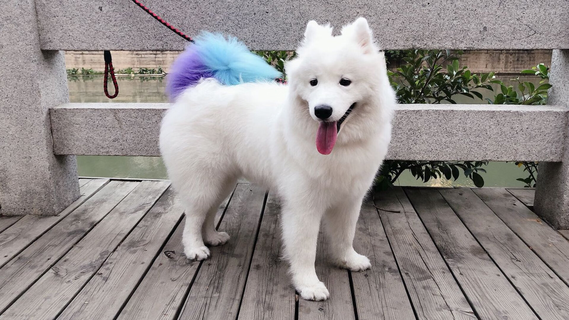 AYX GAMING-“未来展望：2024年最受期待的篮球赛事”，2021下半年篮球赛事