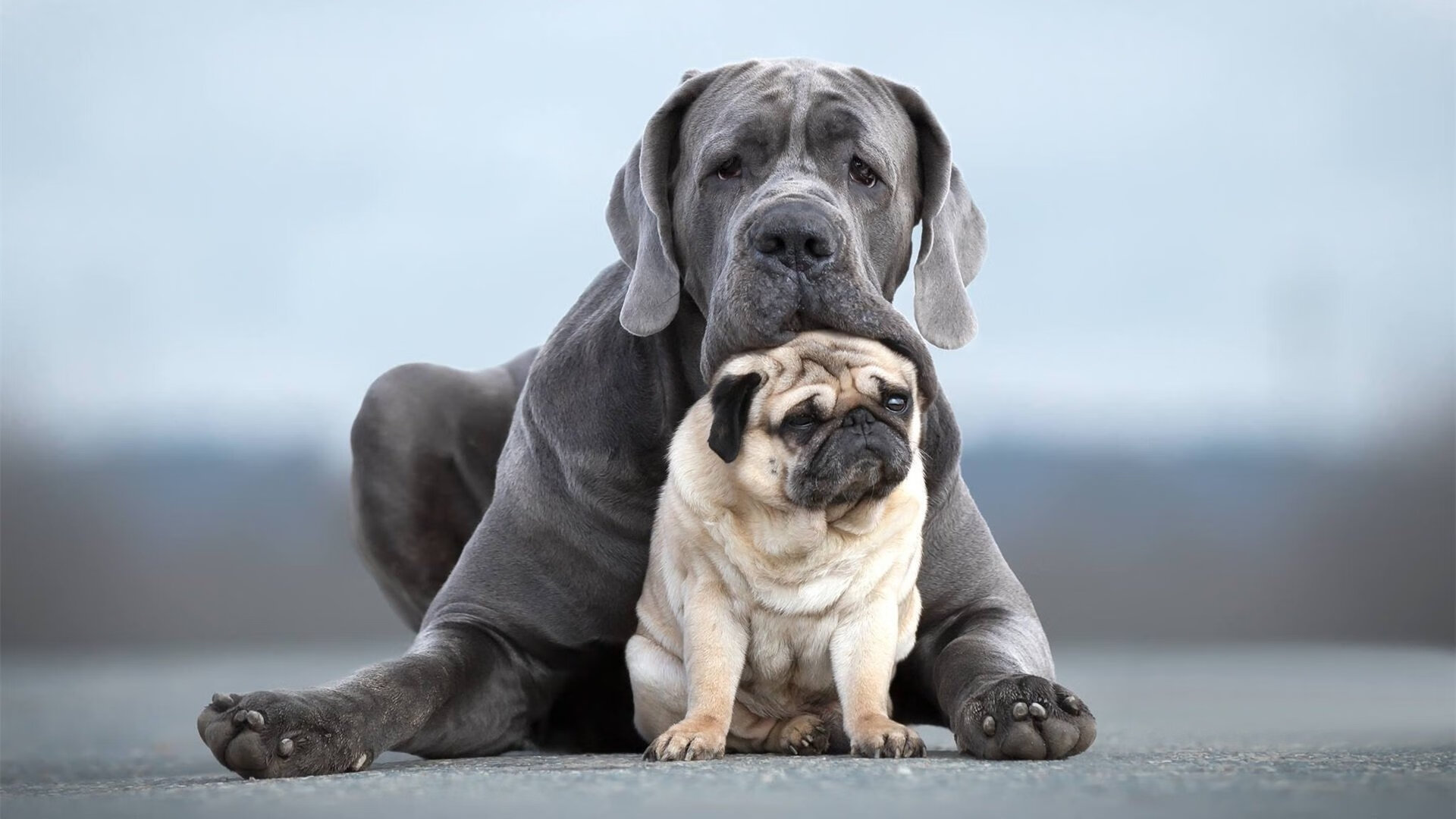 中国足球政策扶持力度持续加大,行业快速成长,中国足球补贴其他项目