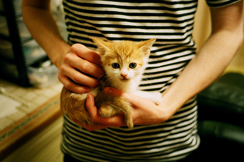 全国登山竞赛,攀登高峰的勇气考验,2021登山比赛