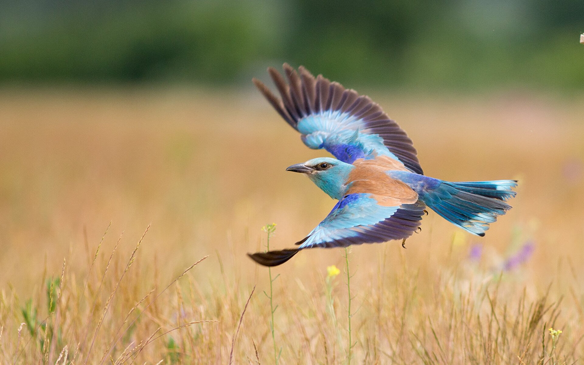 全国登山竞赛,攀登高峰的勇气考验,2021登山比赛