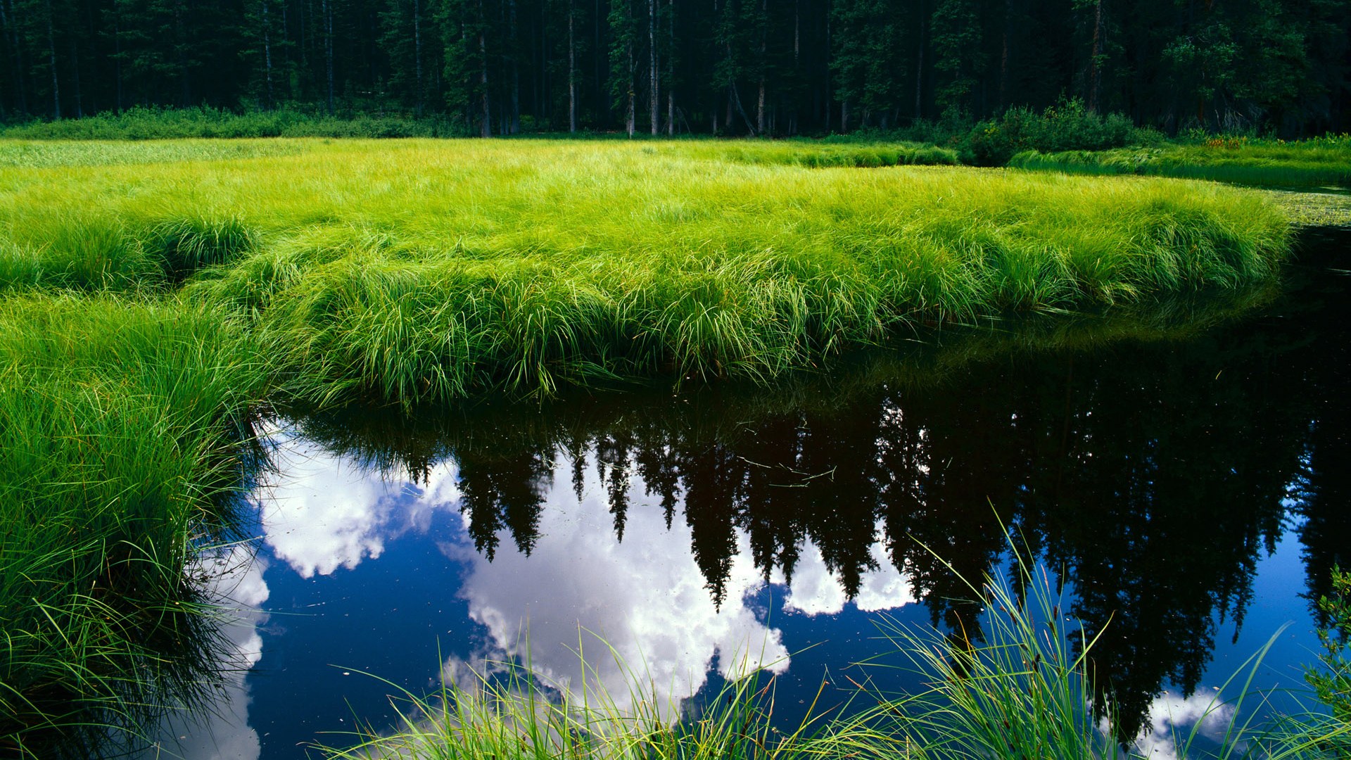 战术智慧:不同教练的创新思路揭秘,教练技术共赢