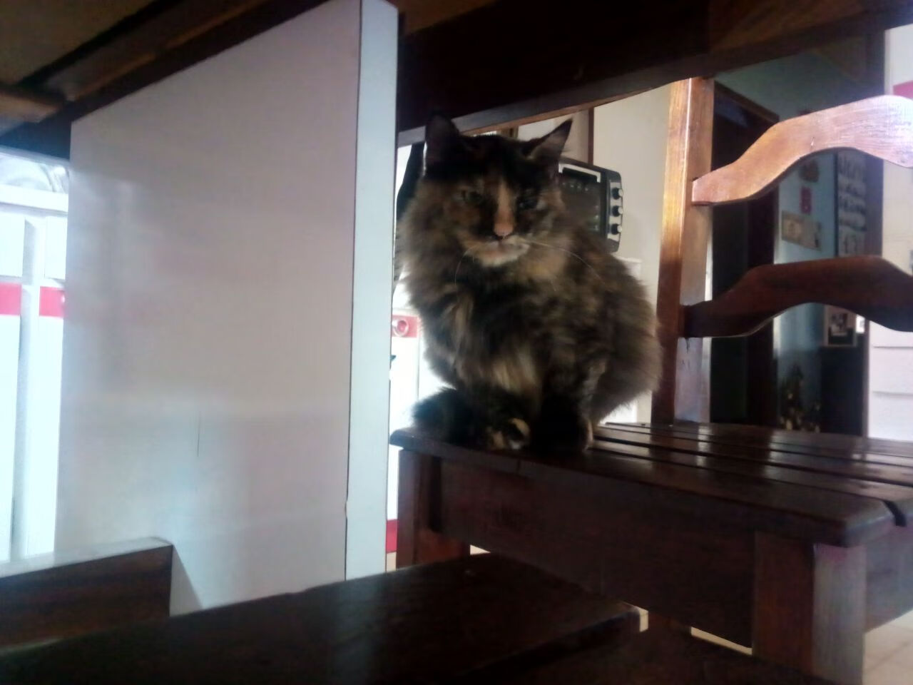 独家专访：某某球员谈未来目标与心路历程