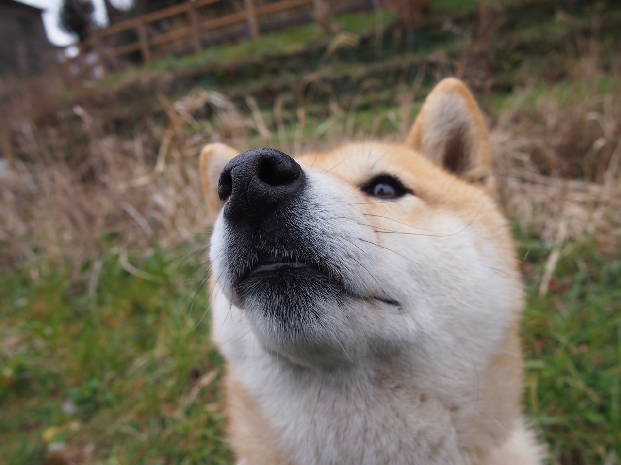 综述:今年台球竞赛的十大焦点事件,综述_今年台球竞赛的十大焦点事件是什么