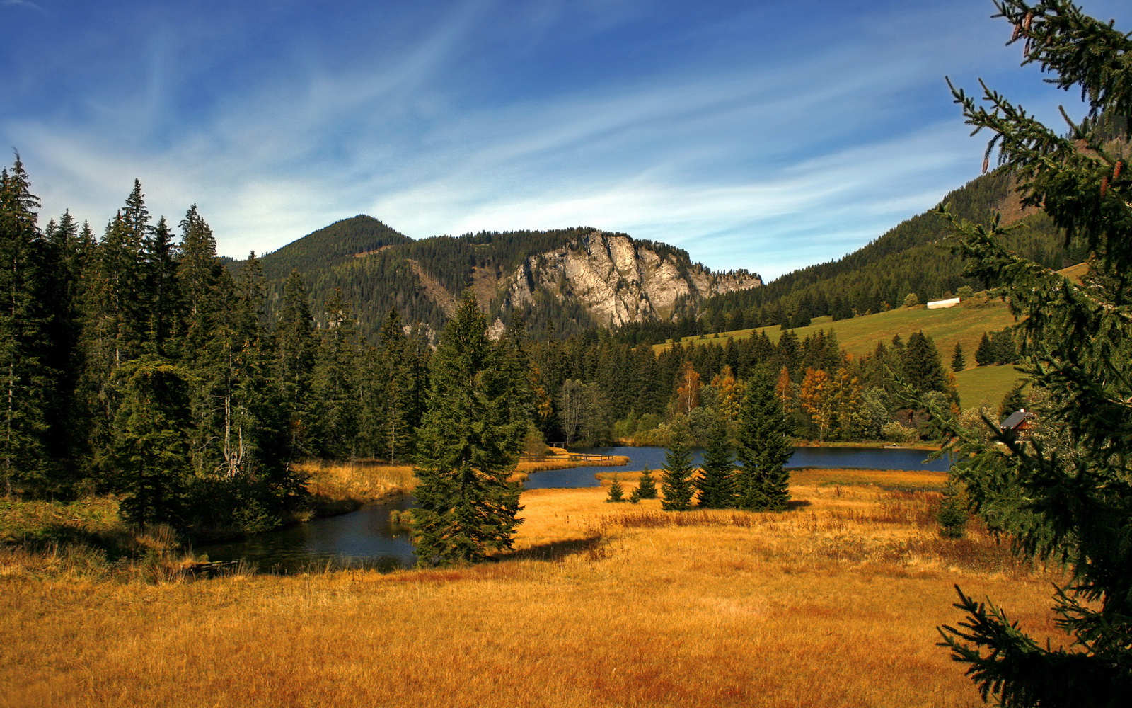 揭秘马术冠军背后的训练艰辛,马术冠军成就攻略