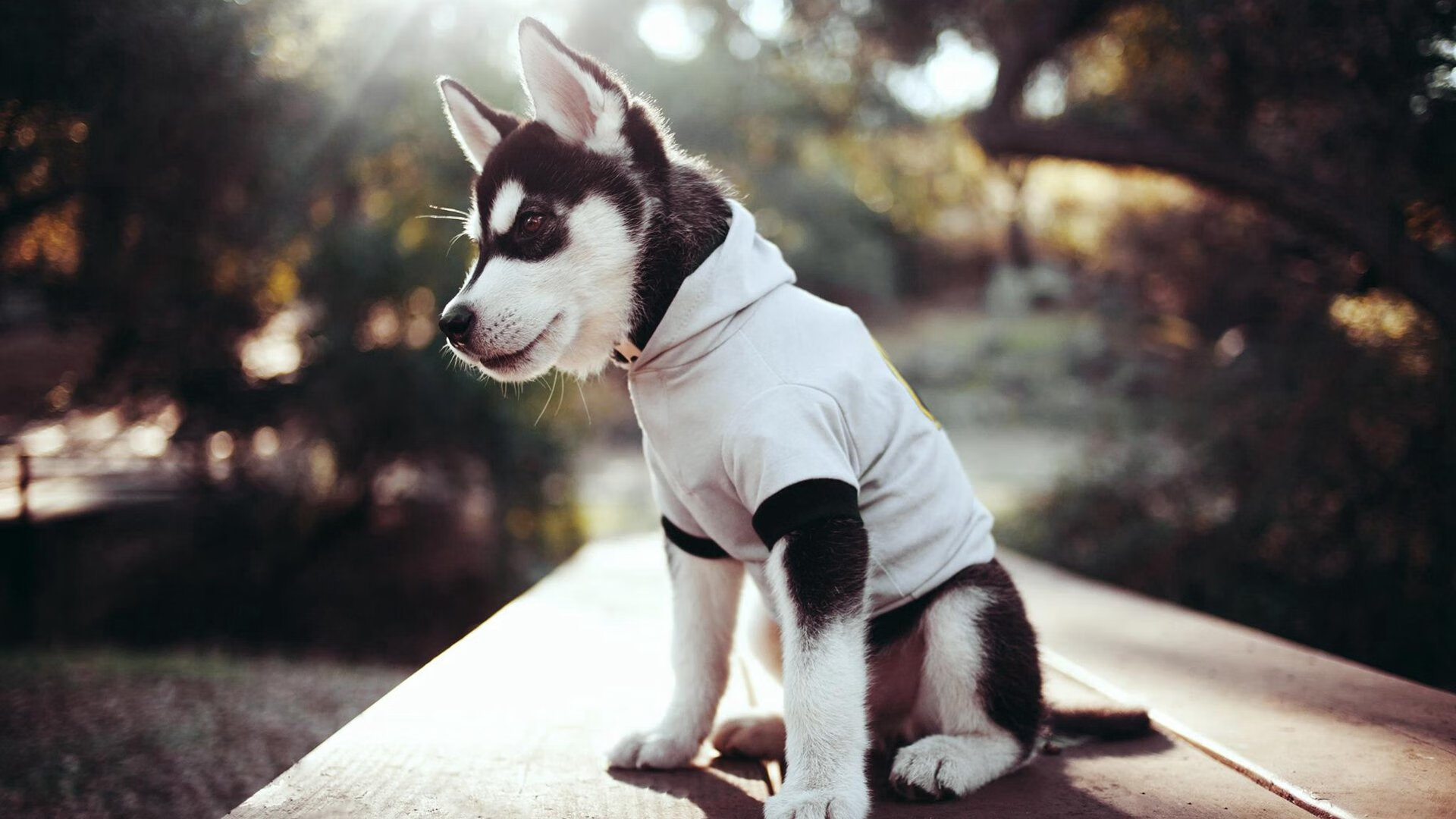 AIYOUXI.COM-中超联赛中国青年队爆冷 技术短板明显暴露，中超青年球员新闻