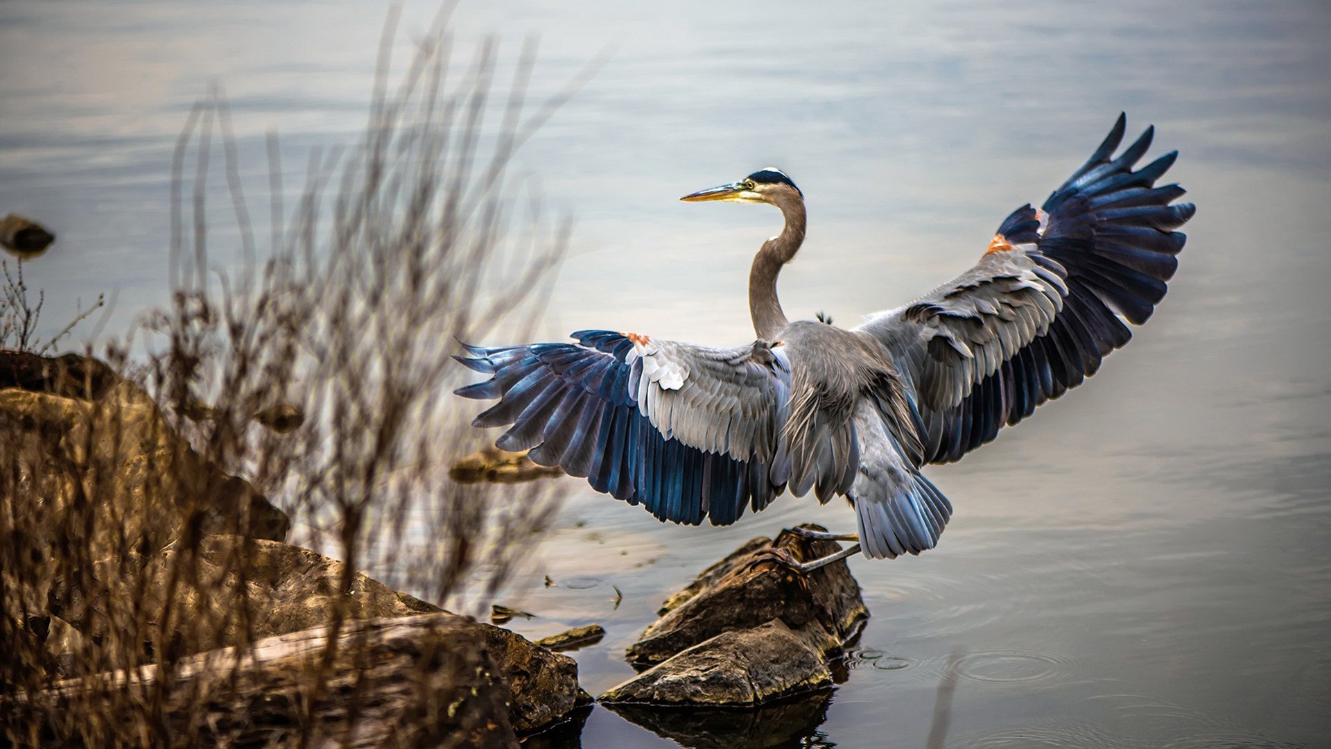 国际热身赛国家队惨败 球迷反思战术部署,2021国际足球热身赛