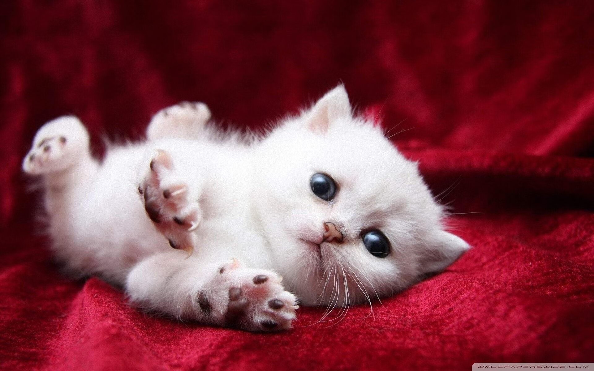 爱游戏中国官方网站平台-足球舆论环境缺乏对青训失败案例的剖析，足球消极比赛案例