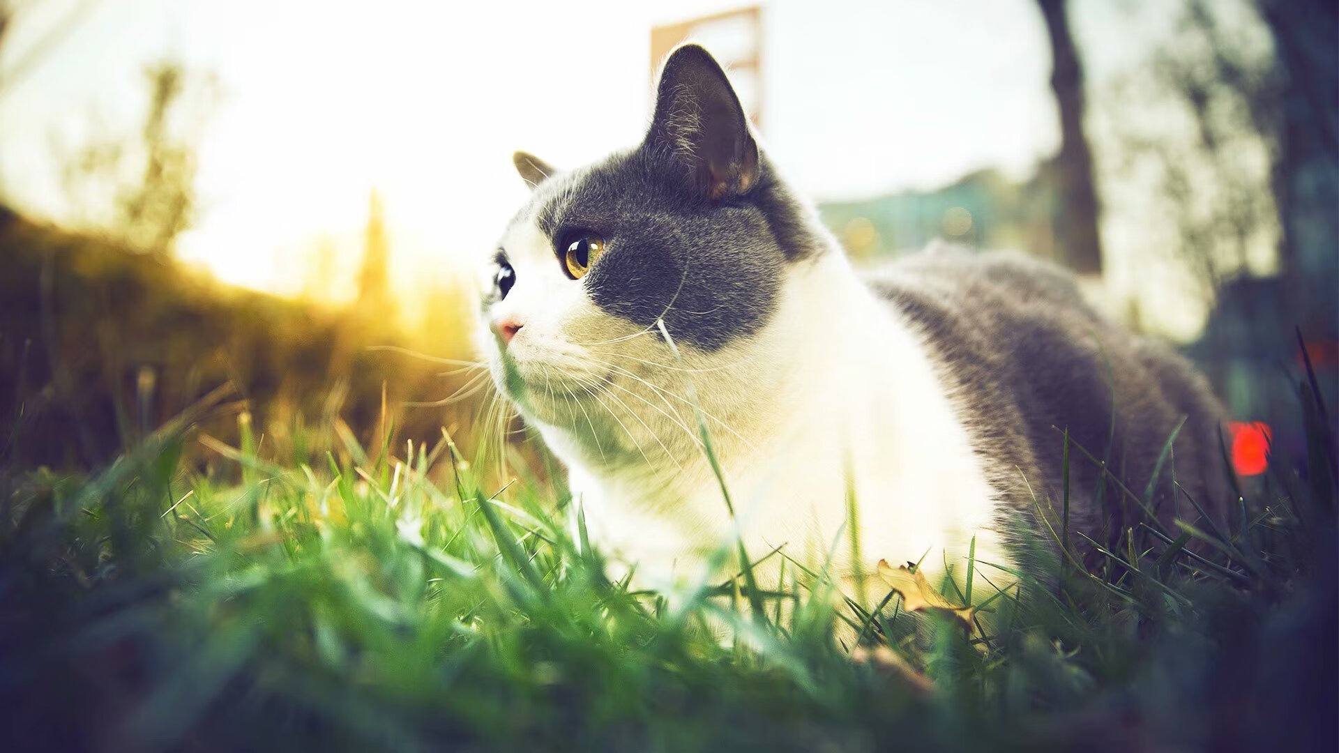 爱游戏app下载-中乙球队试行季度小目标积分系统激发团队成长，中乙积分2021