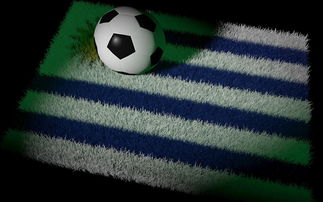 中国足球国家队备战世界杯预选赛全面展开，中国足球队 世界杯预选赛