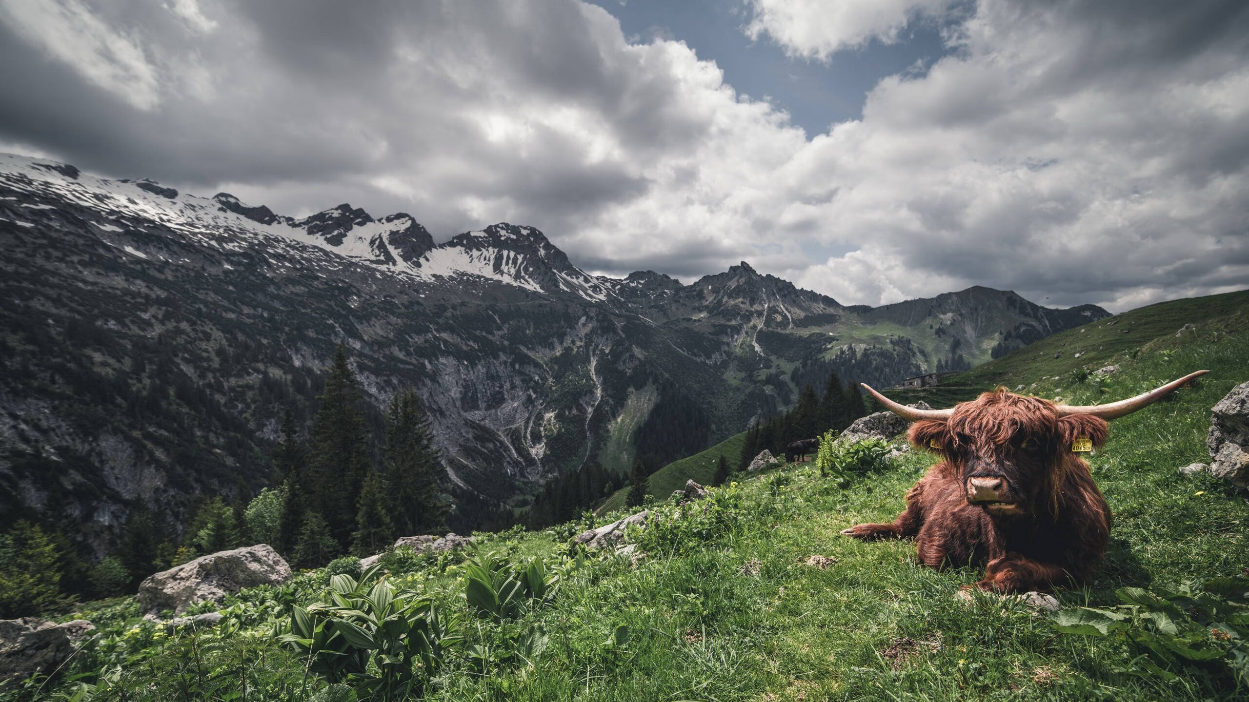 中甲球队加大对梯队比赛关注度推动球员实战积累，中甲足球队