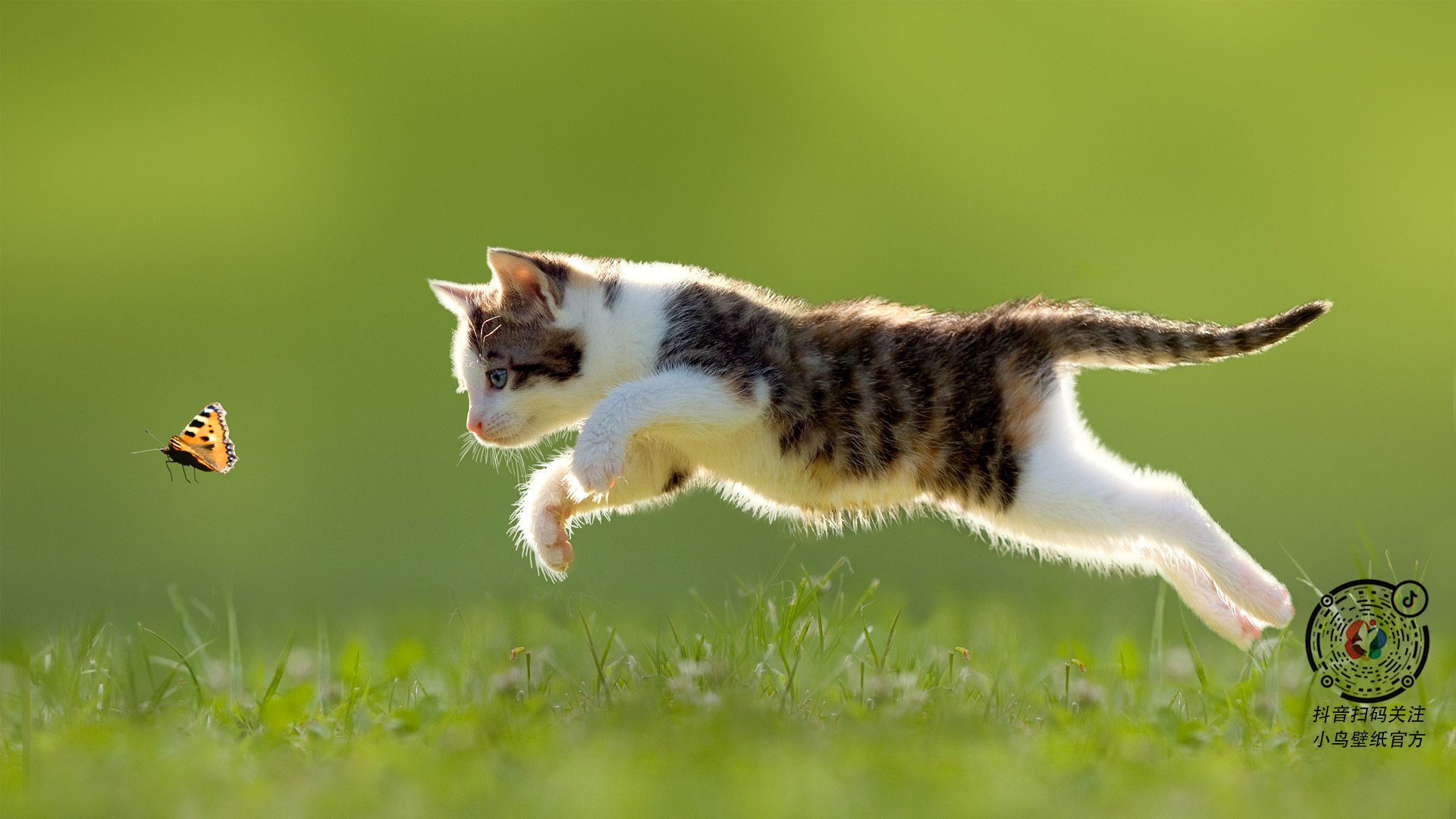 体育科技企业与篮协合作打造智能监测训练系统，篮球体智能课程介绍