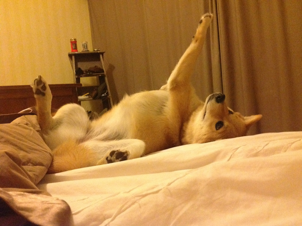 爱游戏中国官方登录入口网站-掘金外援首次亮相媒体日状态神勇，掘金引援