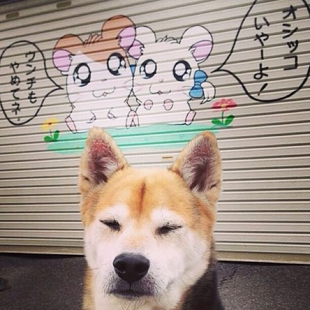 爱游戏官方网站-未来足球赛场将采用全息投影技术，创造沉浸式观赛体验，足球全景