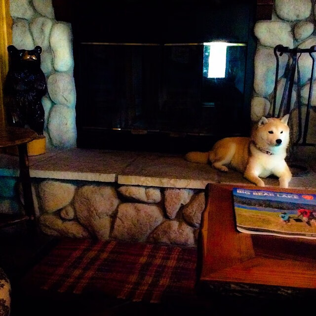 AYX体育-法甲新星崛起：天赋异禀，未来无限！，法甲的强队