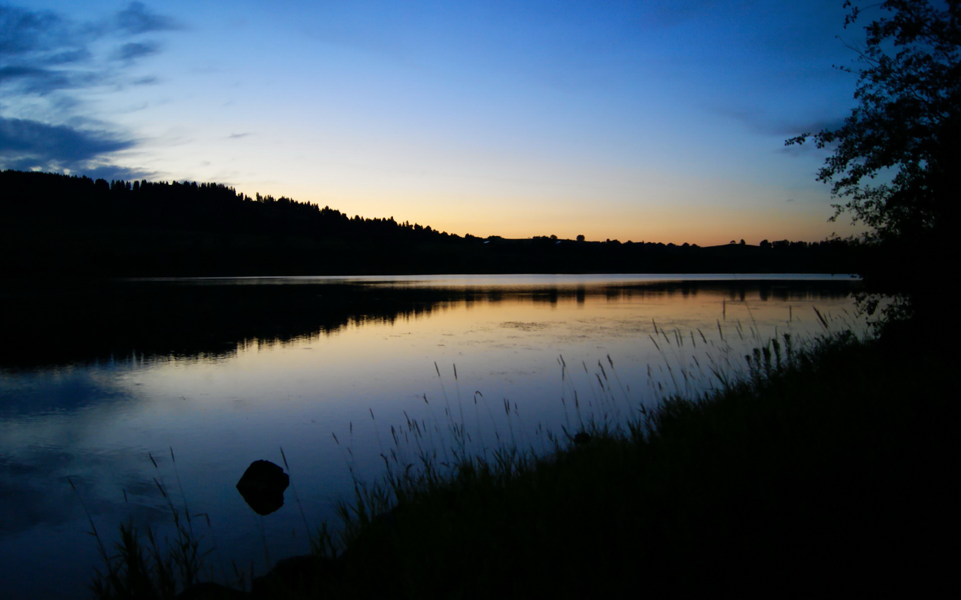 职业球员互动节目越来越多提升篮球社会影响力，职业球员日常