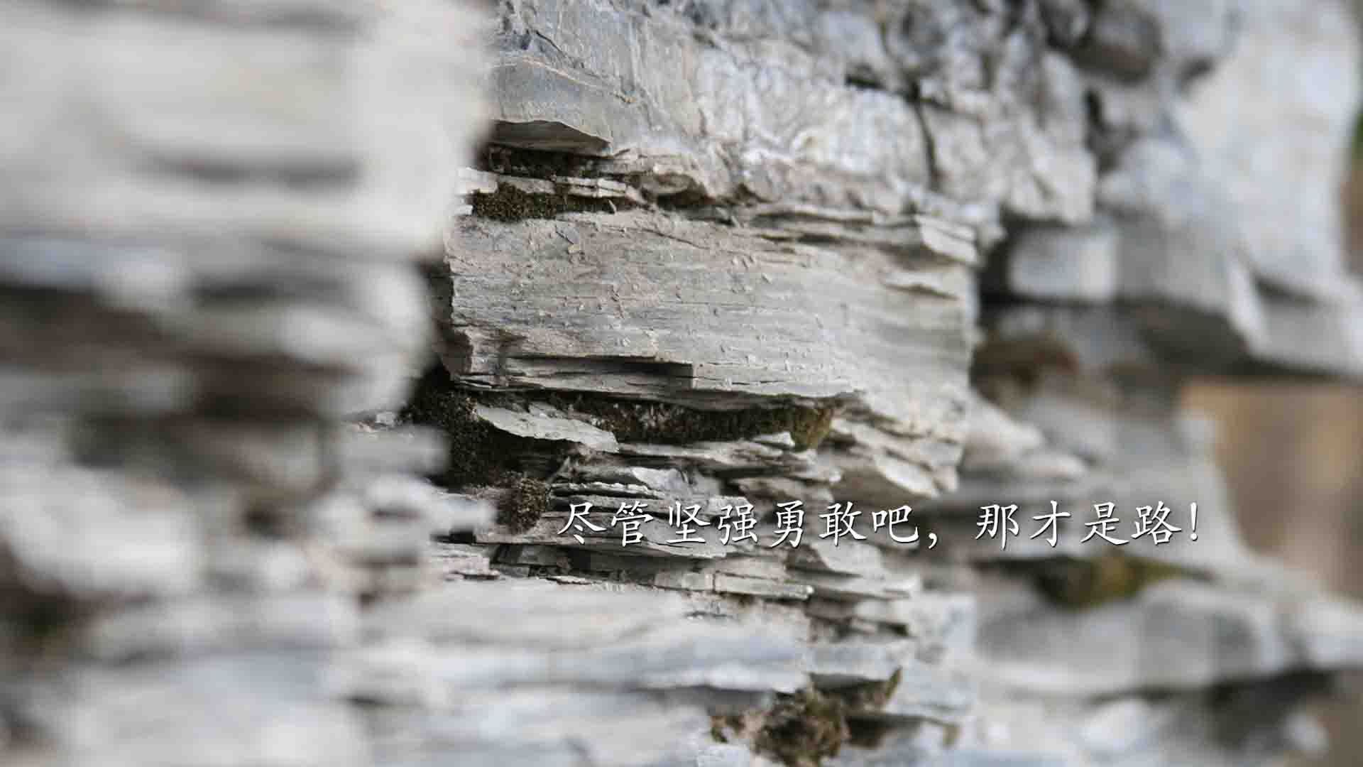 莱谢恩·卡萨斯决赛发挥成大赢家,莱恩卡斯滕