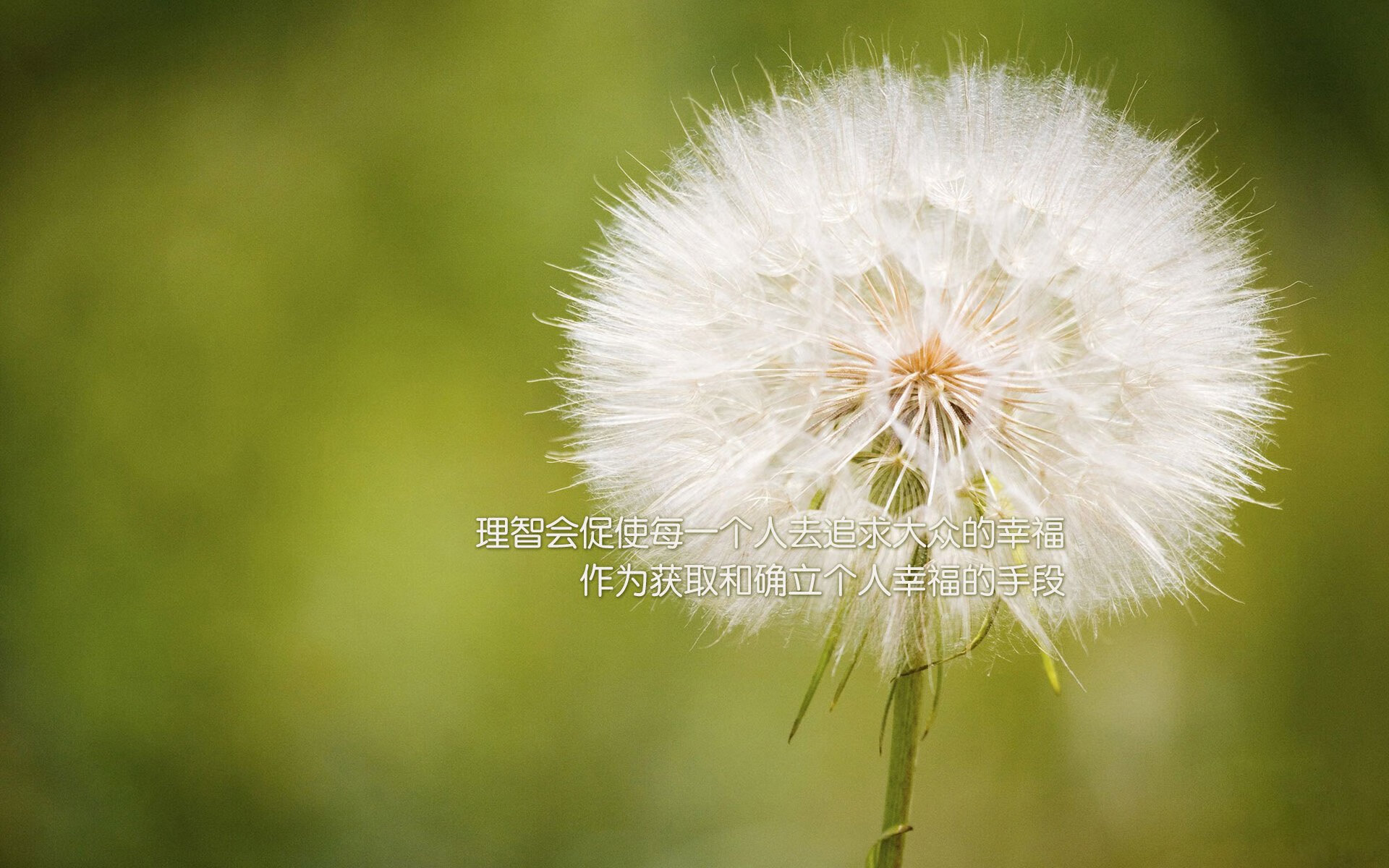 爱游戏中国官方登录入口网站-高校篮球注重运动损伤预防提高保护意识，预防篮球运动损伤的意义