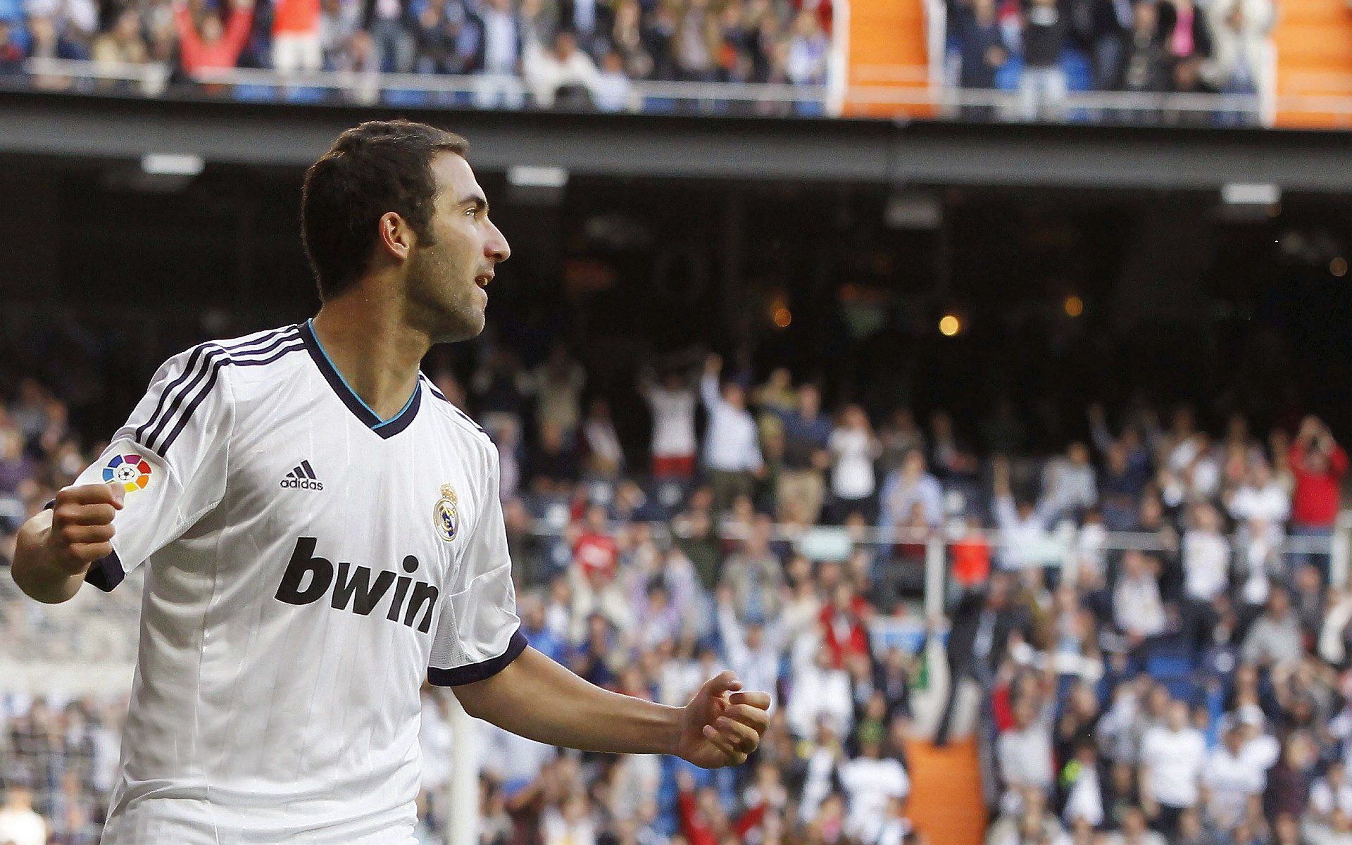 “山谷飞驰：陡峭赛段的速度激情”，山谷飞鸟